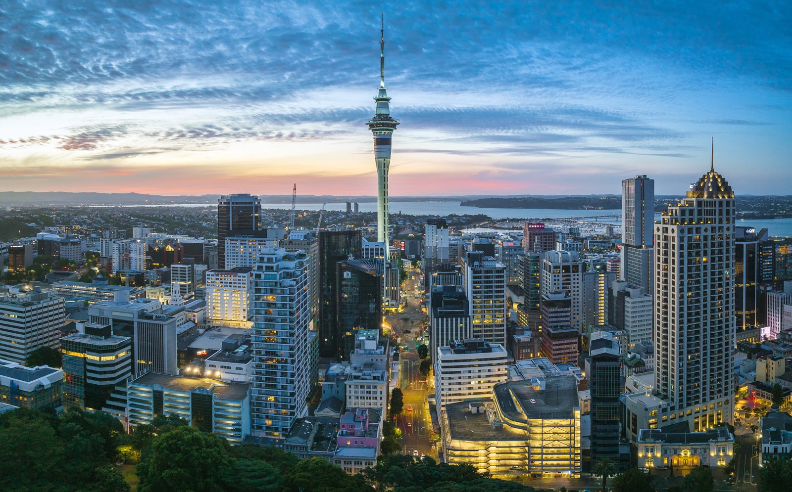 Auckland Regional Chamber of Commerce and Industry AGM Notice 2025